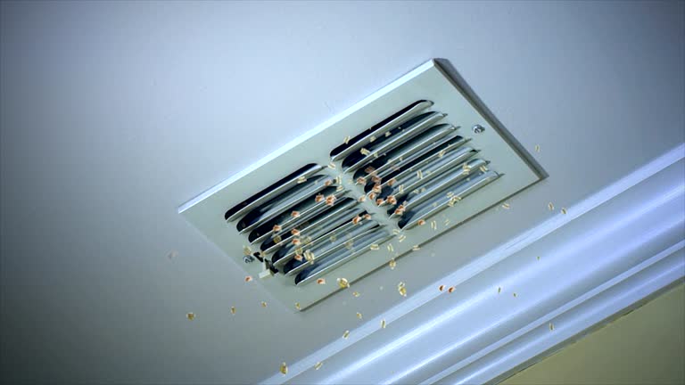 Best Affordable Duct Cleaning Services  in Minot, ND