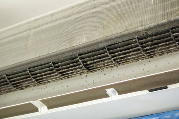 Home Air Vent Cleaning in Minot, ND